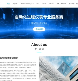 E+H液位计