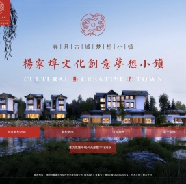 潍坊市杨家埠文化投资开发有限公司