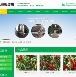 内黄辣椒,内黄新一代,内黄辣椒批发,内黄辣椒基地
