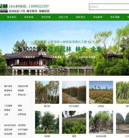 灌木树苗