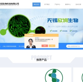 大鼠骨髓内皮祖细胞
