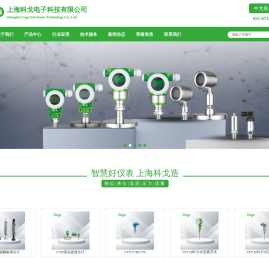 上海科戈电子科技有限公司