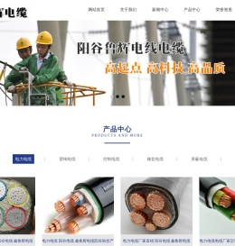 阳谷电缆公司,阳谷电缆厂,阳谷电缆,山东阳谷电缆,阳谷鲁辉电线电缆