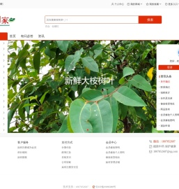 靓新到家