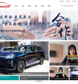 汽车领域网