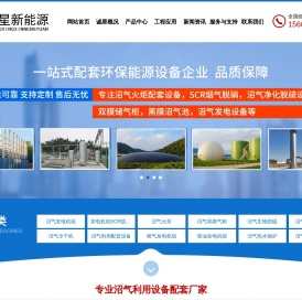 主营：沼气发电机组