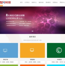 智网科技