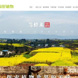 你好植物