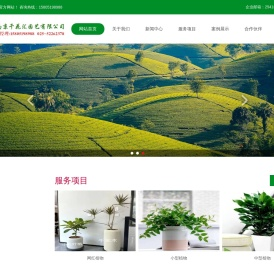 网红南京绿植租赁