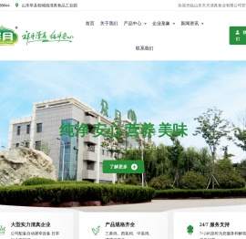 山东天天清真食业有限公司