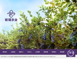 黑龙江省欧瑞农业科技开发有限公司