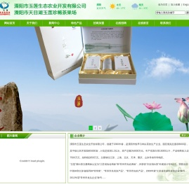 天目湖白茶