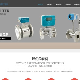 天津赛尔特仪表有限公司