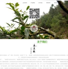 麻溪桥黑茶