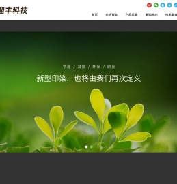 浙江迎丰科技股份有限公司