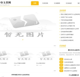沪市玉米网