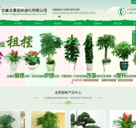 合肥绿化养护
