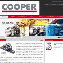 COOPER轴承