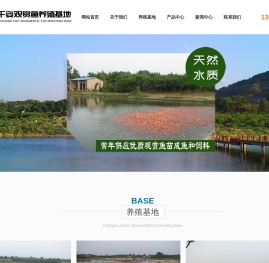 成都观赏鱼
