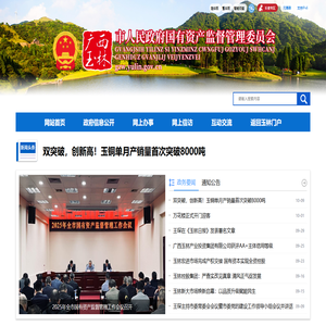 广西玉林市人民政府国有资产监督管理委员会网站