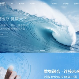 智业软件股份有限公司