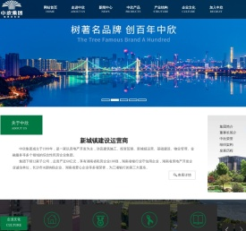 中欣集团
