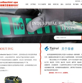 IVG进口工业胶管