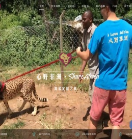 非洲自由行