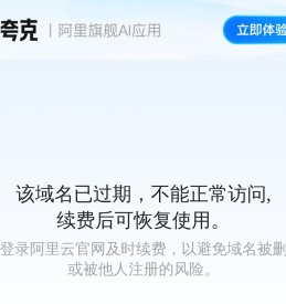 域名过期