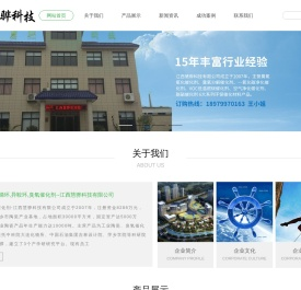 矩鞍环,阶梯环,异鞍环,臭氧催化剂