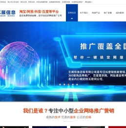 德州网络公司