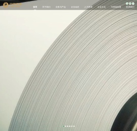 中国纸业投资有限公司