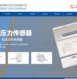 蚌埠鼎力电子科技有限公司