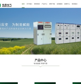 乐清市恒鼎电气有限公司