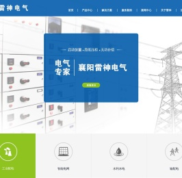 雷神电气/电容补偿柜/高低压开关柜厂家/软启动器/水阻柜/电气设备品牌