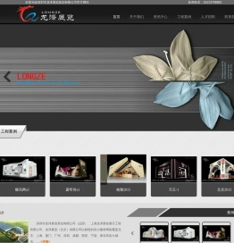 深圳市龙泽展览策划有限公司
