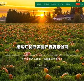 黑龙江和兴农副产品有限公司