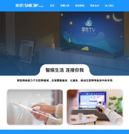 斯凯网络