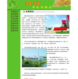 安徽浪森肥业有限公司