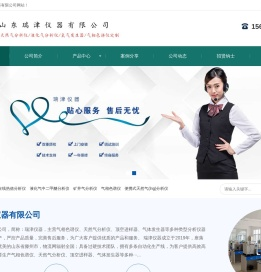 天然气在线热值分析仪