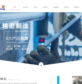 佛山市顺德区樟龙电机有限公司