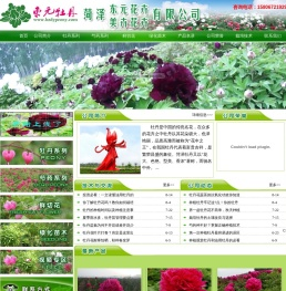 专业提供牡丹花卉