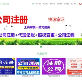 武昌公司注册