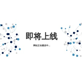 无磁不锈钢精密铸造件