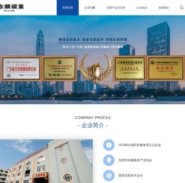 广东东麟碳素科技有限公司