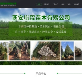 陕西白皮松价格