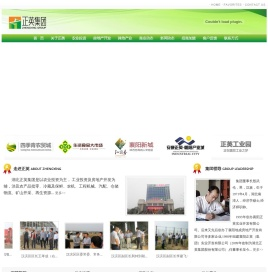 湖北正英集团