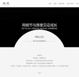 移动app开发制作,营销型网站开发