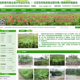 江苏苏州张家港法国冬青/珊瑚树种植基地