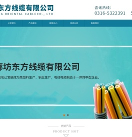 廊坊东方线缆有限公司
